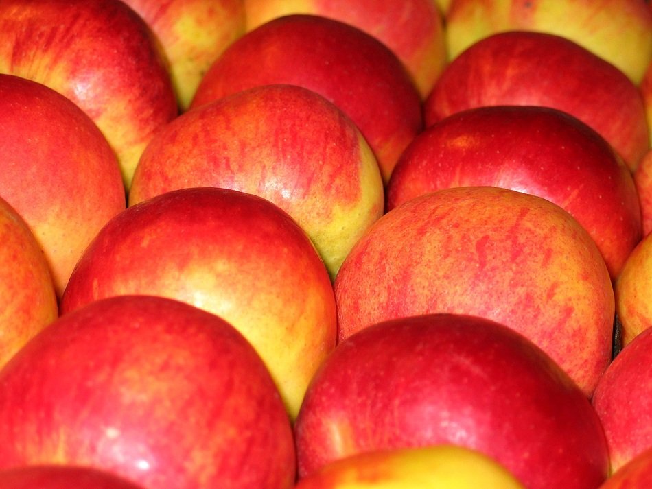 ripe apples on the sales stand