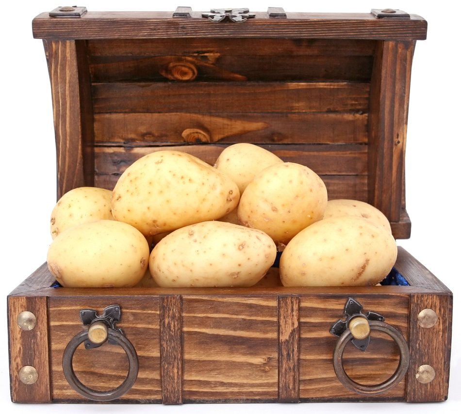 A lot of potatoes in a lock