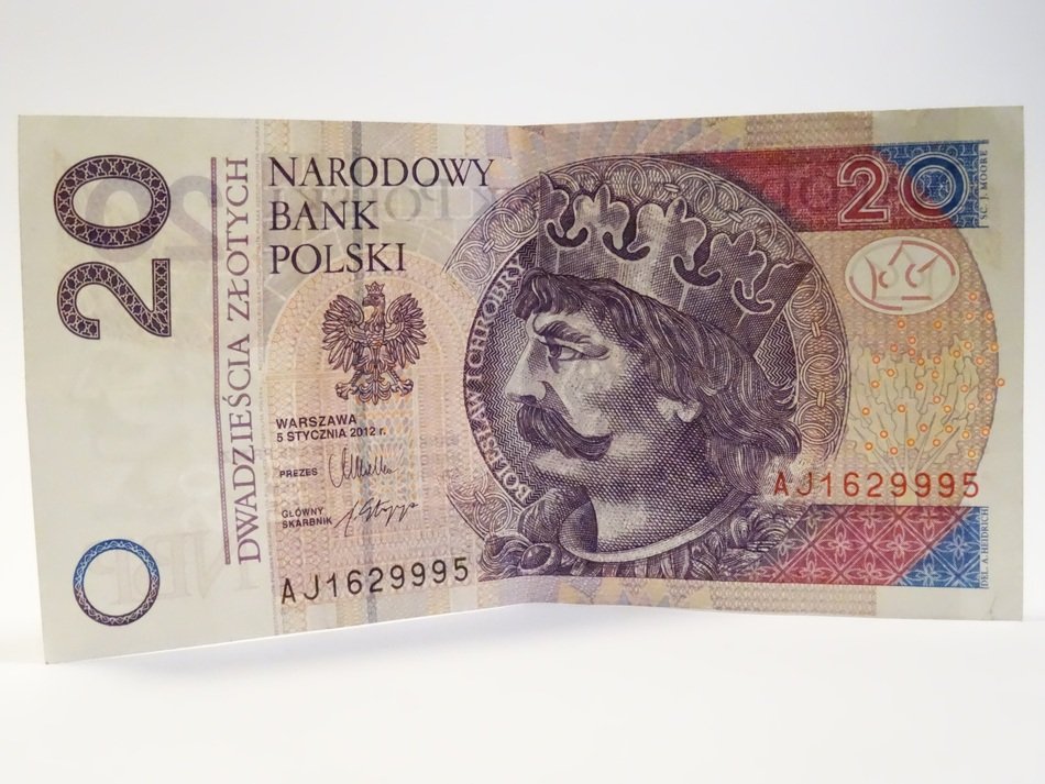 polish bill on a white background