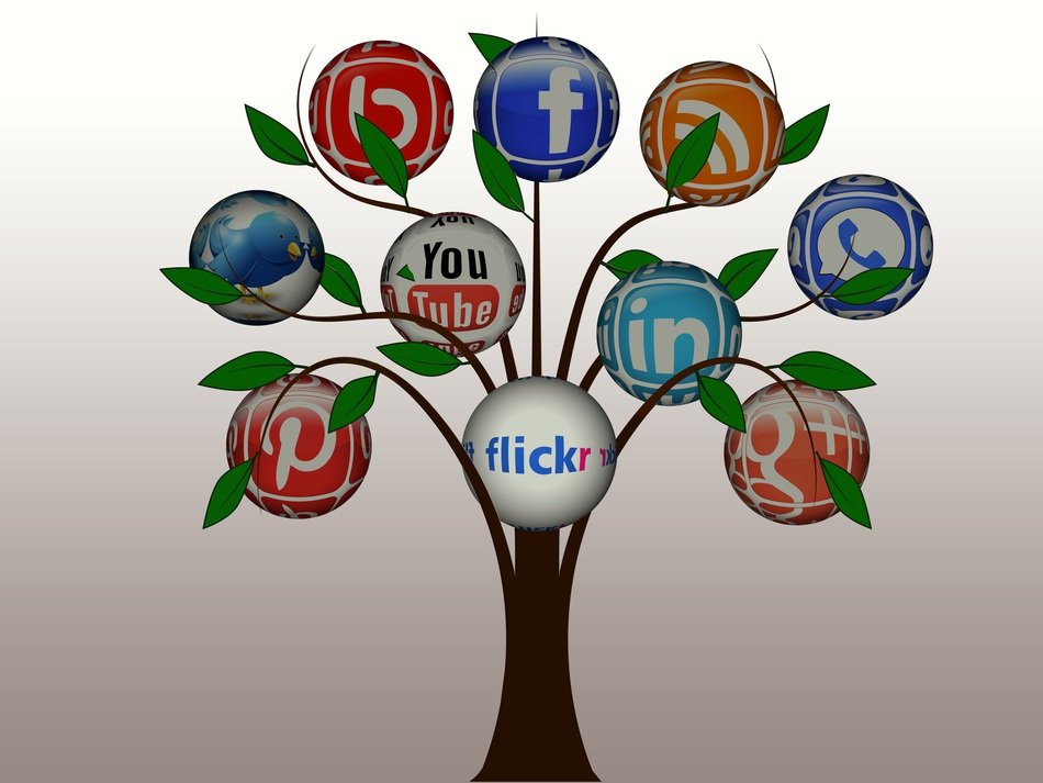 tree with green leaves and logos