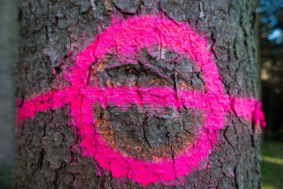 pink paint sign on the tree trunk