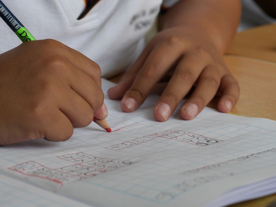 red pencil in the hands of a student
