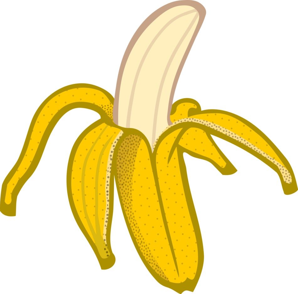 banana drawing on a white background