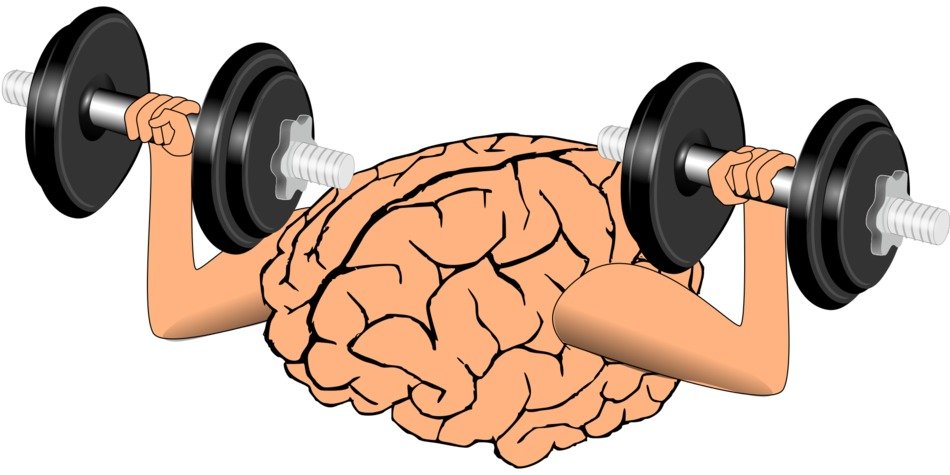 growth of a brain in the picture