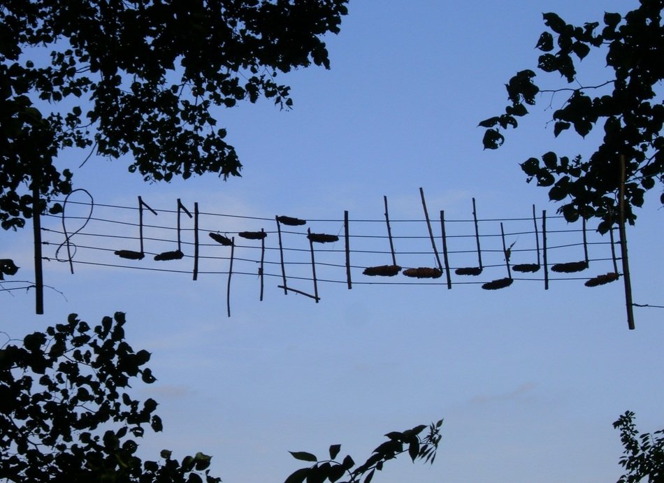 notes in the middle of nature for inspiration