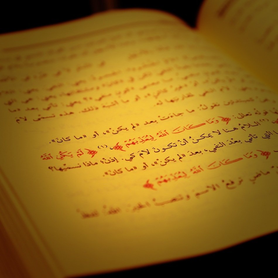 Bright paper of the book