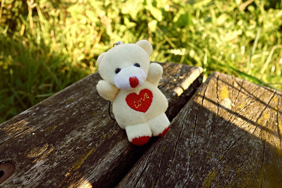 Cute Teddy Bear love