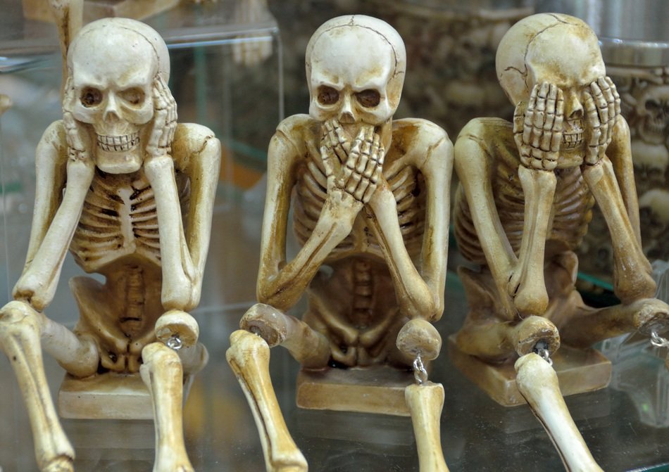 Picture of Skeletons sitting