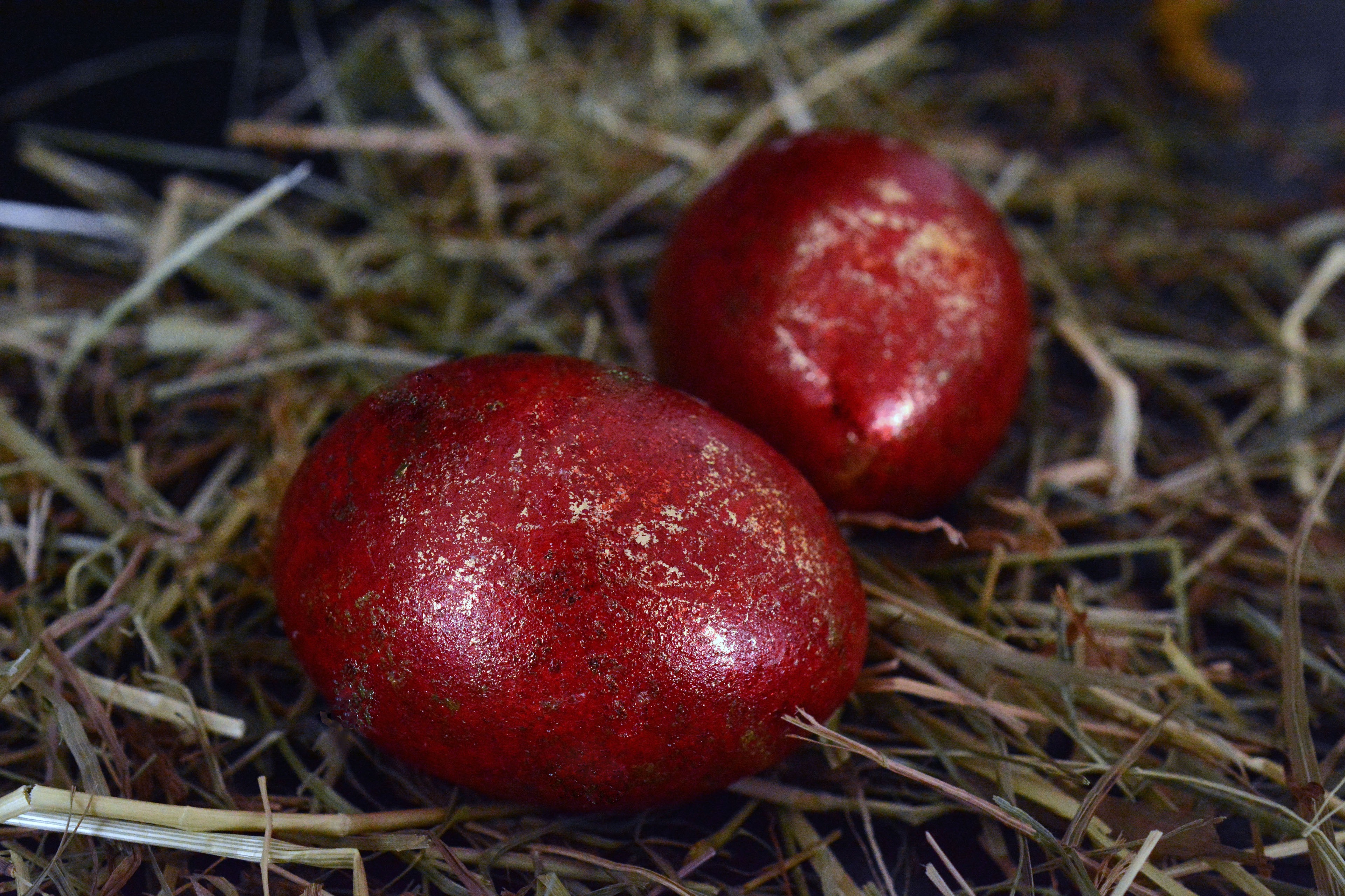 Красное яйцо в сене фото