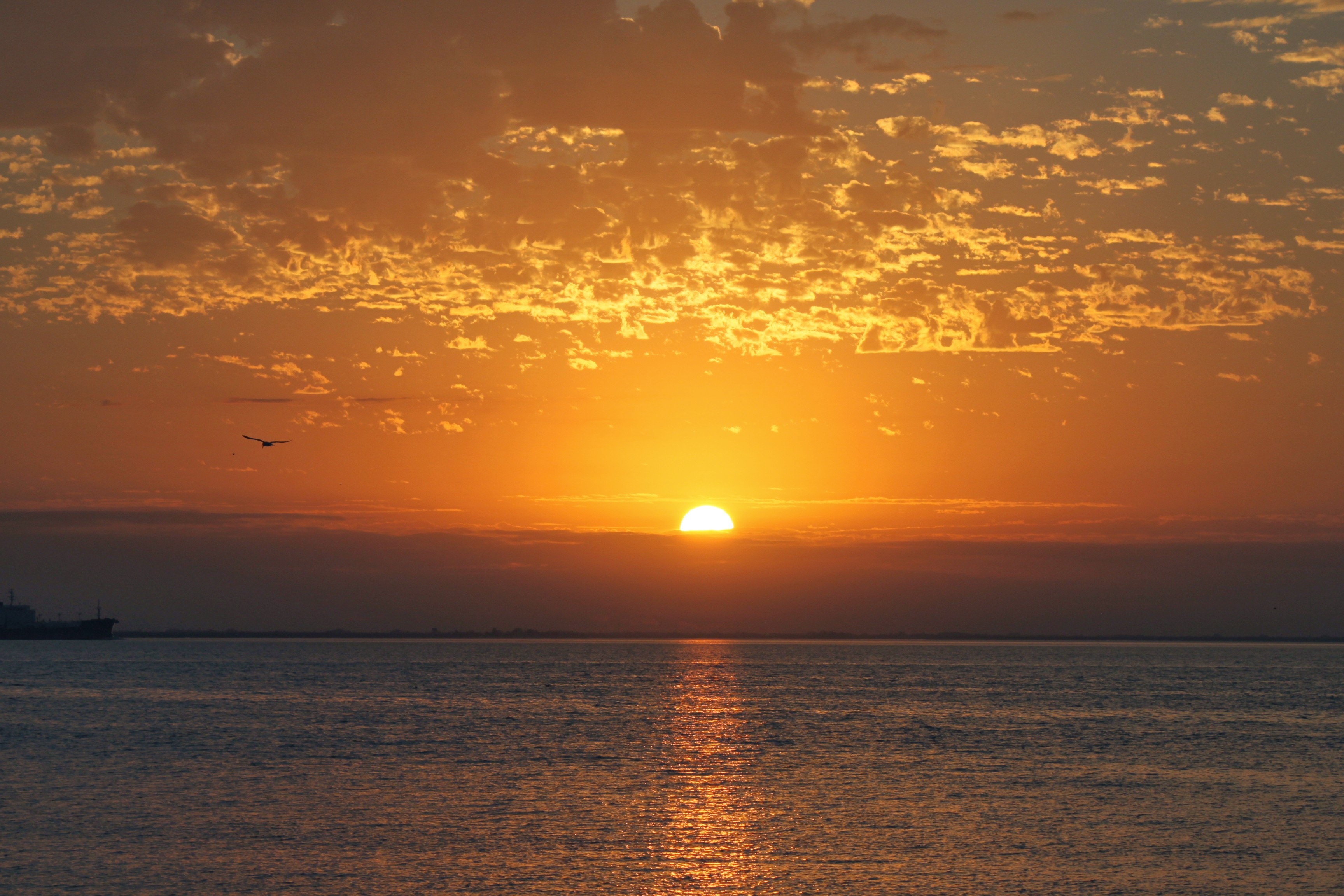 Bright Sun At Sunrise Free Image Download