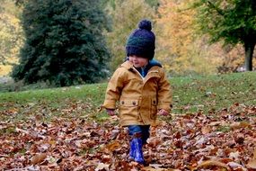 Cute Child boy walking in Autumn park