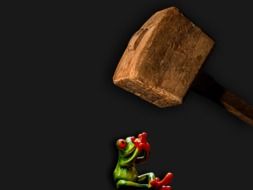 frog sitting under an ax