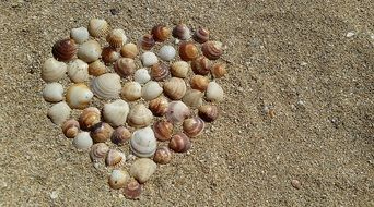 heart in the sand from the shells