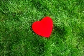 red heart on the green grass