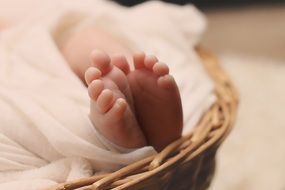 beautiful Newborn Feet