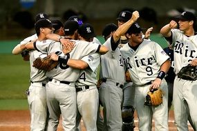 Baseball Victory Game