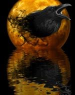 reflection of a crow in the water on a background of the golden moon