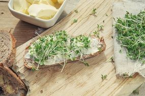 Cress salad, Bread and butter on table