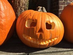 carved face in pumpkin for halloween in the fall