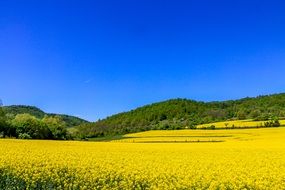 yellow mountain fields landscape