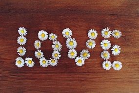 Love word made of daisies