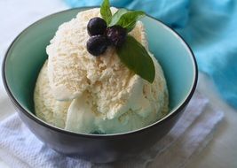 ice cream with blueberries as a dessert