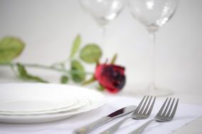 Elegant Tableware and red Rose