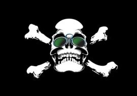 drawing of a skull with glasses