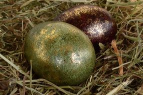 Easter eggs on dry grass