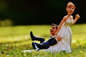 figure of the bride and groom on the green grass