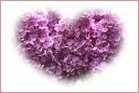 Greeting card for valentine's day