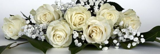 banner with white roses bouquet