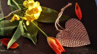 spring flowers and decorative heart