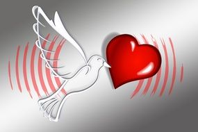 drawing dove and red heart