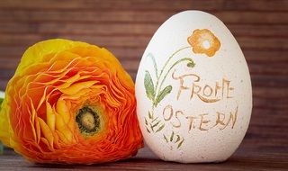Orange Ranunculus and Easter Egg