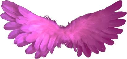 fluffy pink wings