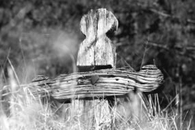 black and white photo of a wooden cross in a cemetery