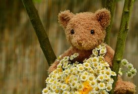 Teddy Bear with white daisies Bouquet