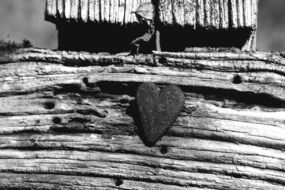 dramatic symbol on an old wooden fence in black and white background