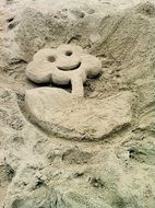 a flower with a smile of sand