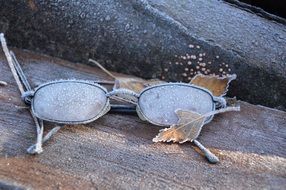 frosted glasses and leaves outdoor