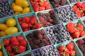 variety of berries and fruits at the farmers market