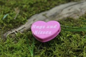 purple heart decoration on the grass