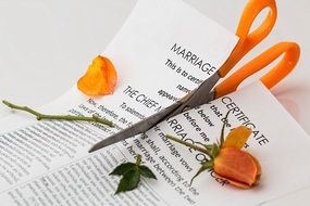 scissors cut marriage certificate