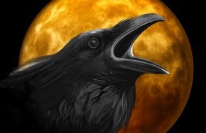 digital raven on the moon background