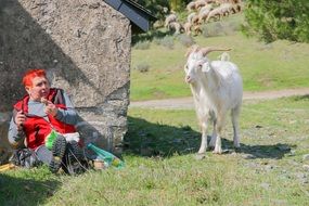 Goat and woman with red hair on a farm