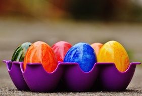 bright easter eggs in a purple tray