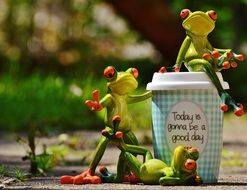 funny frogs and coffee cup