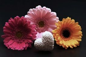 Gerbera Flowers Heart