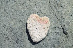 coral in shape of a heart